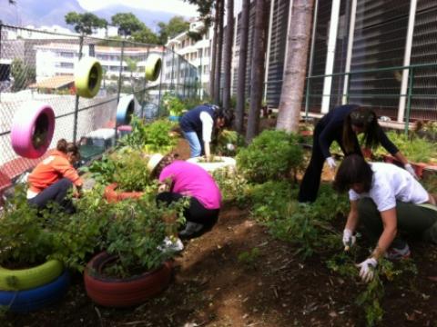 Dia de voluntariado entre os professores na bio-horta
